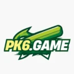 PK6 GAME